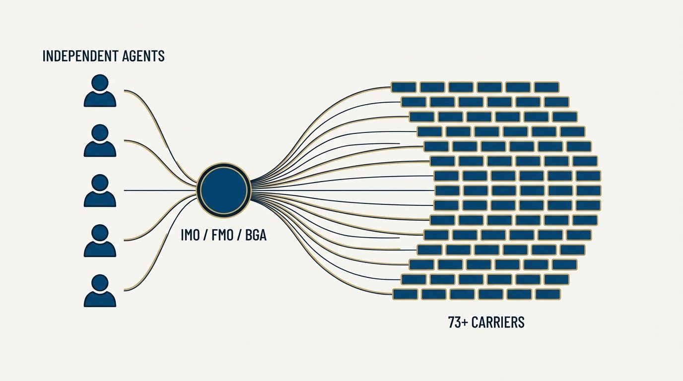 Radial diagram showing an independent IMO, FMO and BGA linking agents to many insurance carriers